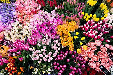 美少女生存恐怖游戏《探灵直播2》中文实体版将推出