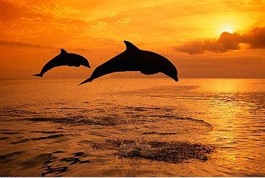 Humble慈善游戏包再度涨价 玩家福利缩水引争议